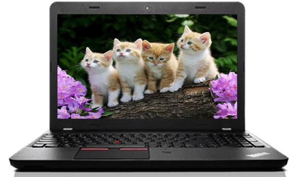 Màn hình laptop Lenovo ThinkPad E560 20EVA027VN cho hình ảnh sắc nét