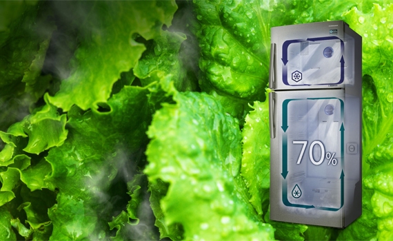 Tủ lạnh Samsung RT43K6331SL sử dụng 2 dàn lạnh độc lập