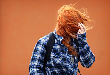 Quạt đứng  ELECTROLUX ESSF2063P - 3