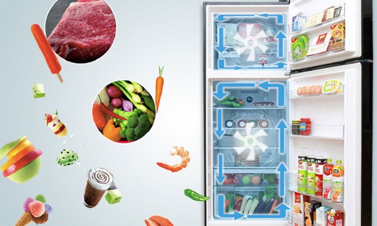 Tủ lạnh Hitachi 550L R-VG660PGV3 (GBK) bảo quản thực phẩm tươi tốt