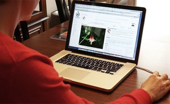 Chuột kh&ocirc;ng d&acirc;y Rapoo 3000P độ ph&acirc;n giải quang học 1000 DPI