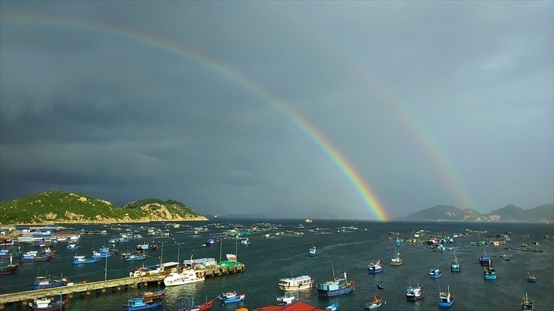 Điện thoại Sony Xperia C3 đang giảm gi&aacute; tại Nguyễn Kim