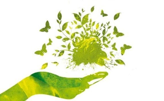 Tủ đông Panasonic SCR-P697 184 lít thân thiện với môi trường