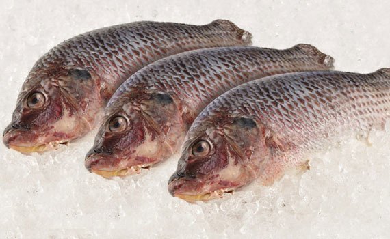 Tủ đông Sanyo SF-C21K(W) 208 lít bán trả góp tại nguyenkim.com