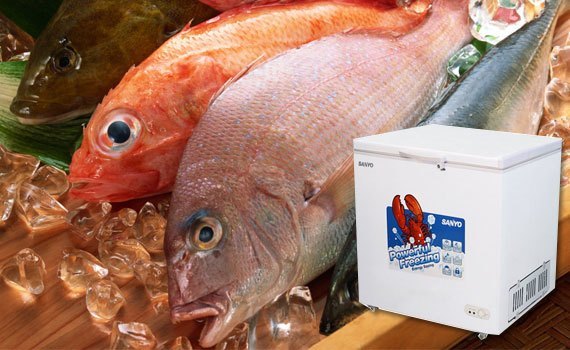 Tủ đông loại nào tốt? Tủ đông Sanyo SF-C21K(W) 208 lít