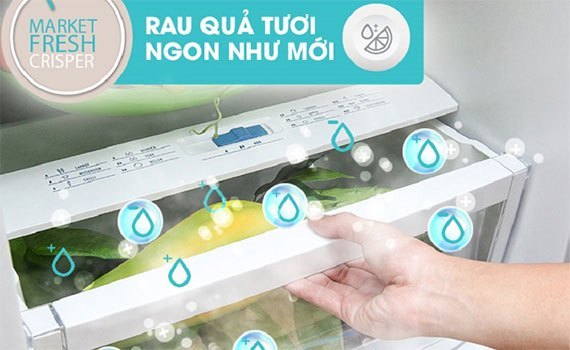 Với tủ lạnh Electrolux ETB3500PE-RVN, hoa quả lúc nào cũng tươi ngon