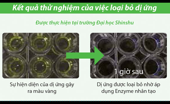 Máy lạnh Mitsubishi Electric MS/MU-H10VC lọc bụi bẩn