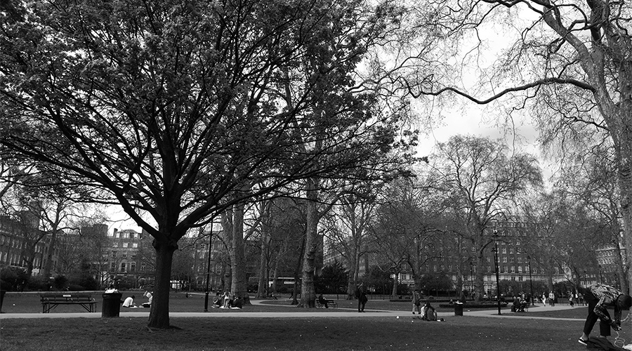 Điện thoại Huawei P9 grey với cảm biến BSI CMOS