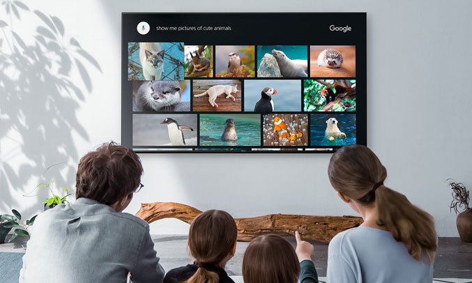 Tivi OLED Sony 55 inch KD-55A8F