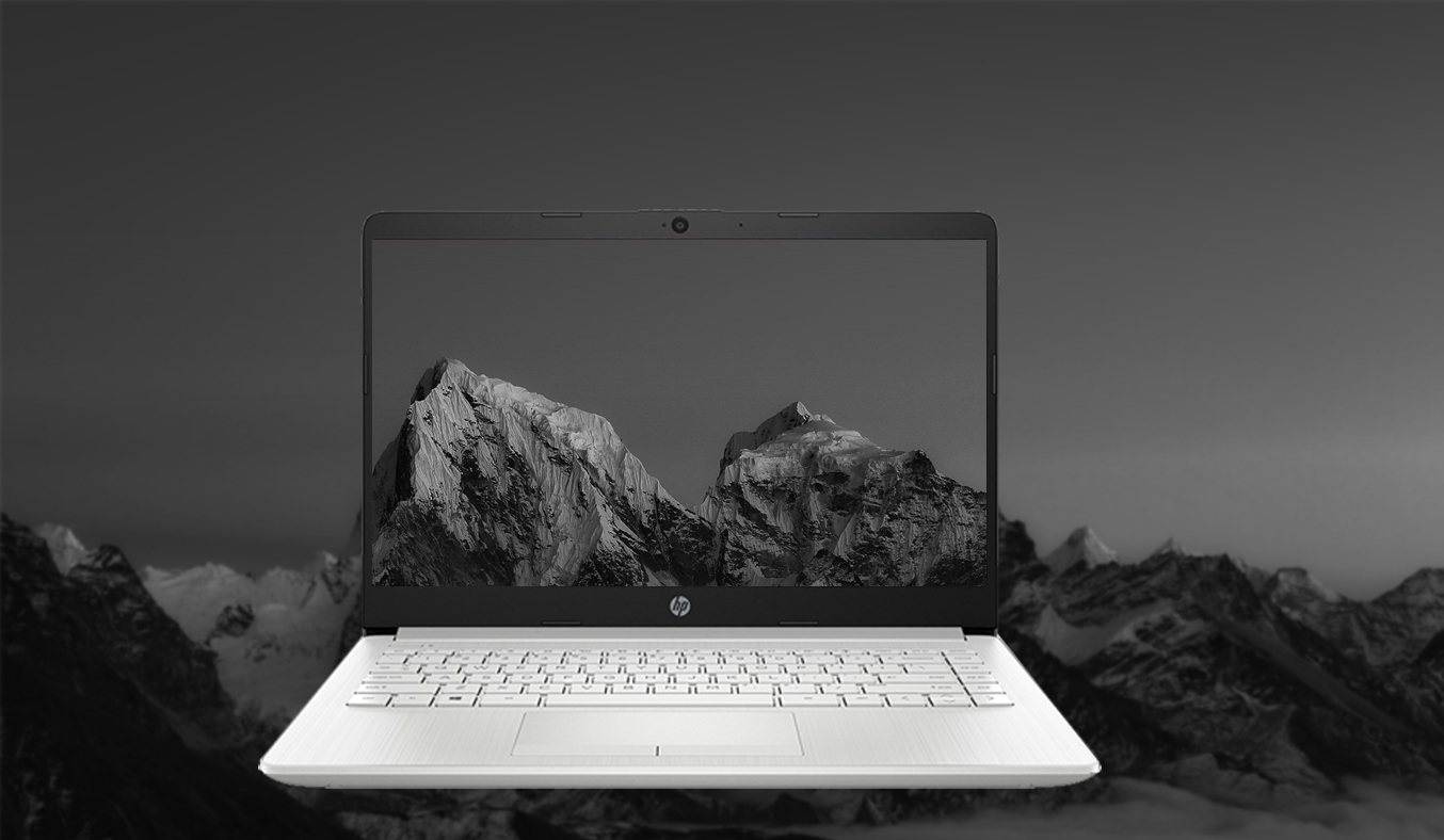 Laptop HP 14S-DQ2017TU i7-1165G7 14 inch 2Q6H0PA - Màn hình