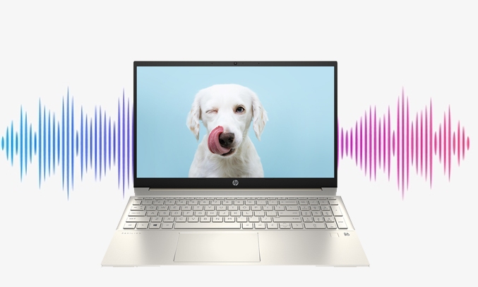 Laptop HP Pavilion 15-EG0504TU i7-1165G7 15.6 inch 46M00PA - Âm thanh sống động