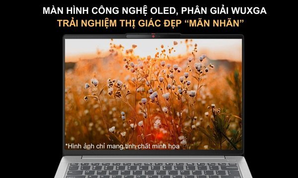 Laptop Lenovo Ideapad Slim 5 14IMH9 U5-125H/16GB/1TB/Win11 (83DA006TVN)