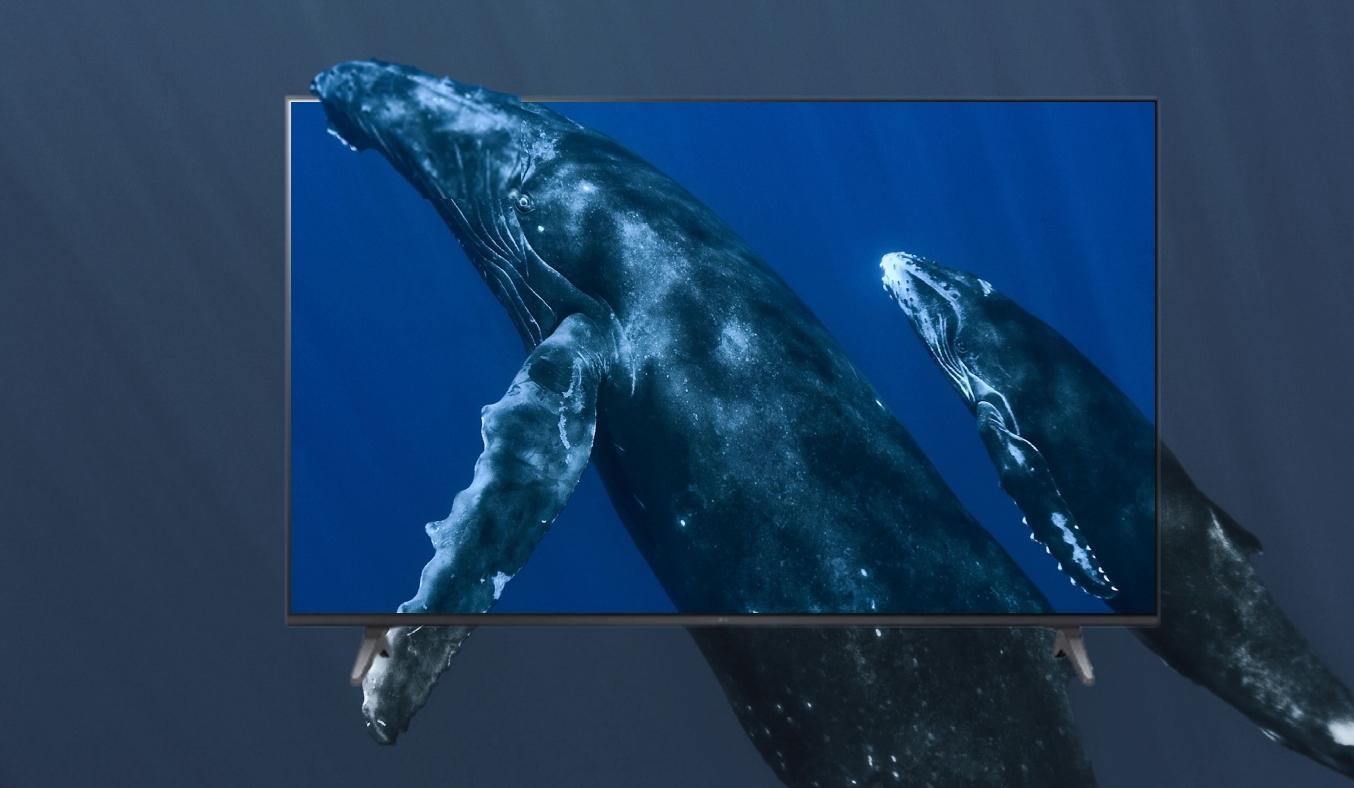 Smart Tivi LED LG 4K 50 inch 50UQ7550PSF độ phân giải 4K