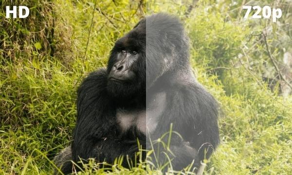 Smart Tivi LED LG HD 32 inch 32LQ636BPSA tự động điều chỉnh độ sáng bằng AI