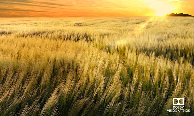 Smart tivi LG 4K OLED 55 inch E8PTA trải nghiệm điện ảnh