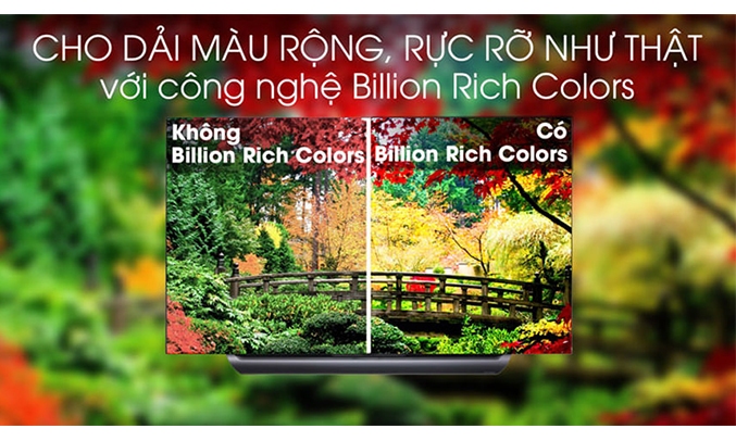 Smart tivi LG 4K OLED 55 inch E8PTA màu sắc hấp dẫn