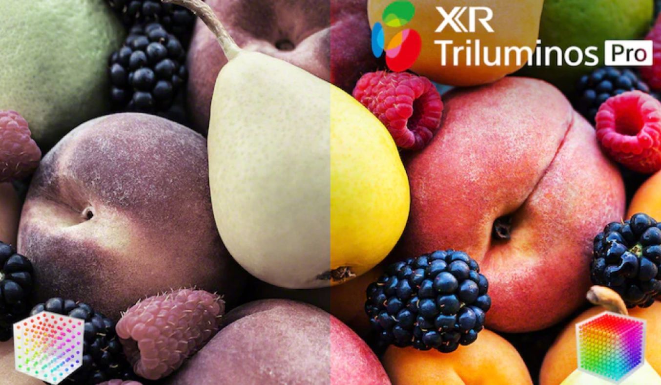 Google Tivi Sony 4K 85 inch KD-85X95K VN3 - Công nghệ hình ảnh