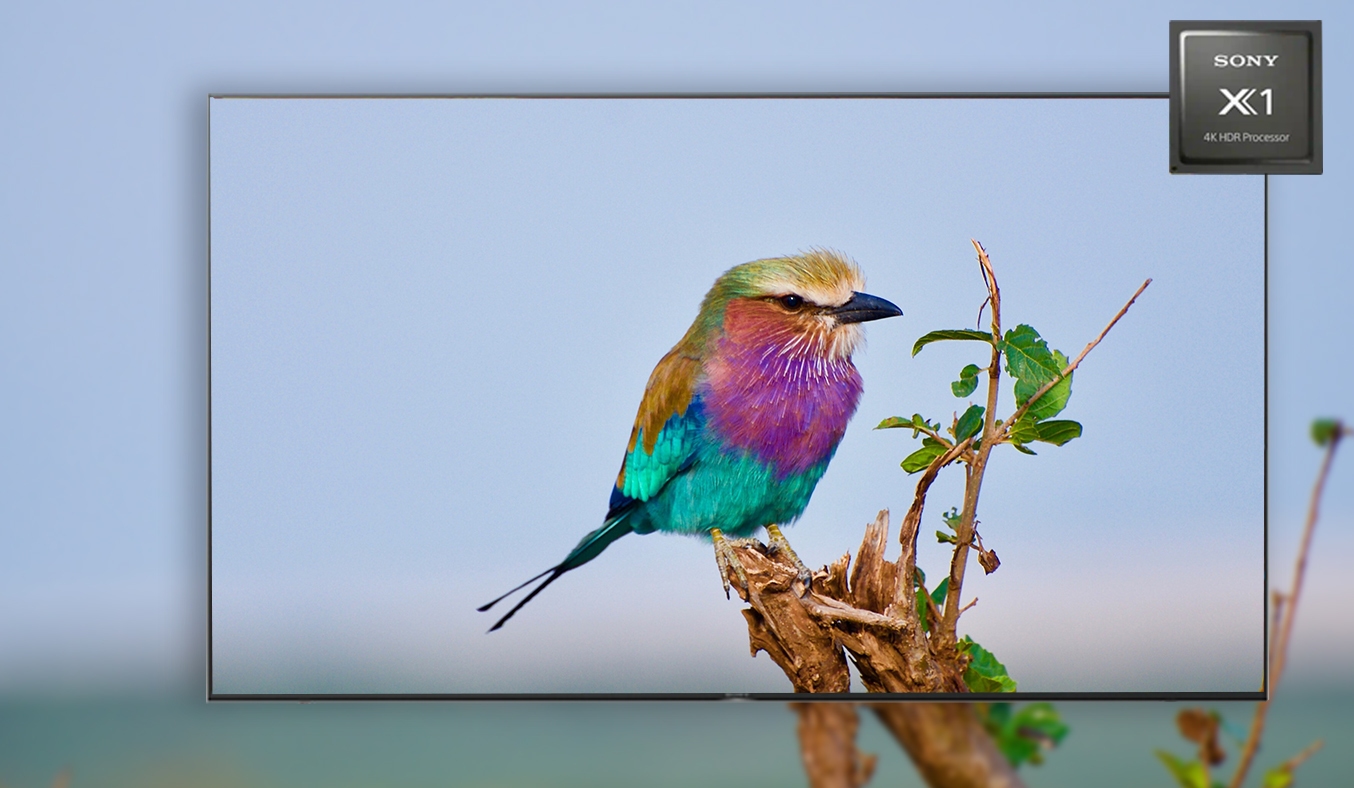 Android Tivi Sony 4K 55 inch KD-55X9000H VN3- Bộ vi xử lý 4K HDR X1