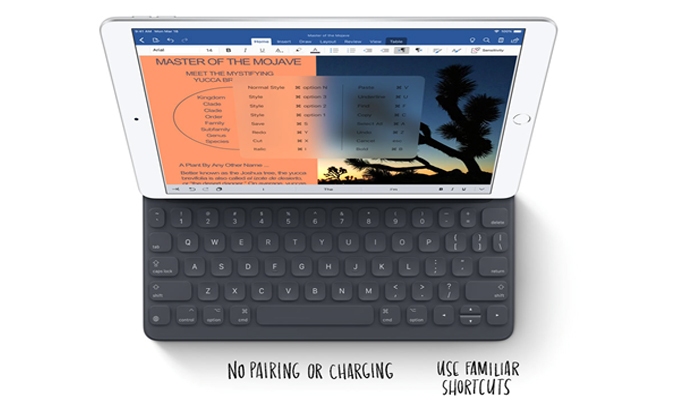 ipad air cellular 256 gb 