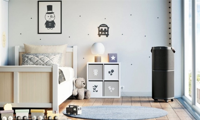 Máy lọc không khí Electrolux Inverter PA91-606DG