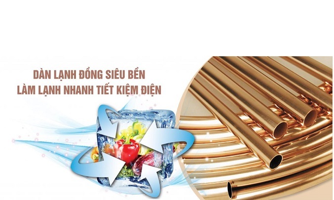 Tủ đông Sanaky Inverter 270 lít VH 3699A3