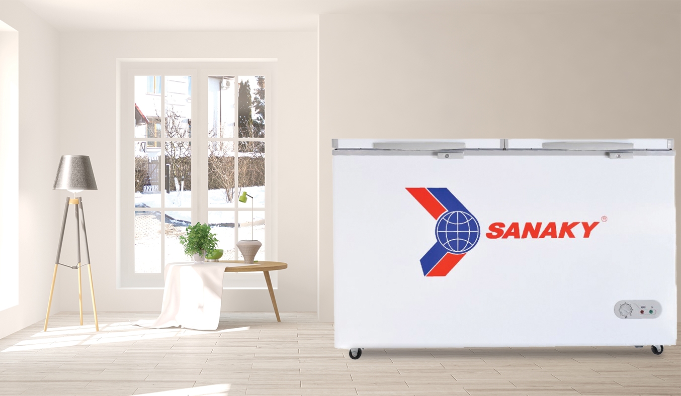 Tủ đông Sanaky 305 lít VH-405A2