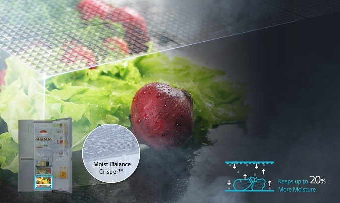 Tủ lạnh LG Inverter 626 lít GR-B247JS