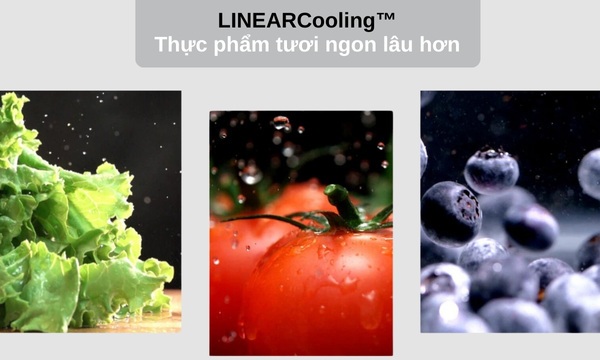 Tủ lạnh LG Inverter 635 lít GR-X257BL công nghệ LinearCooling™