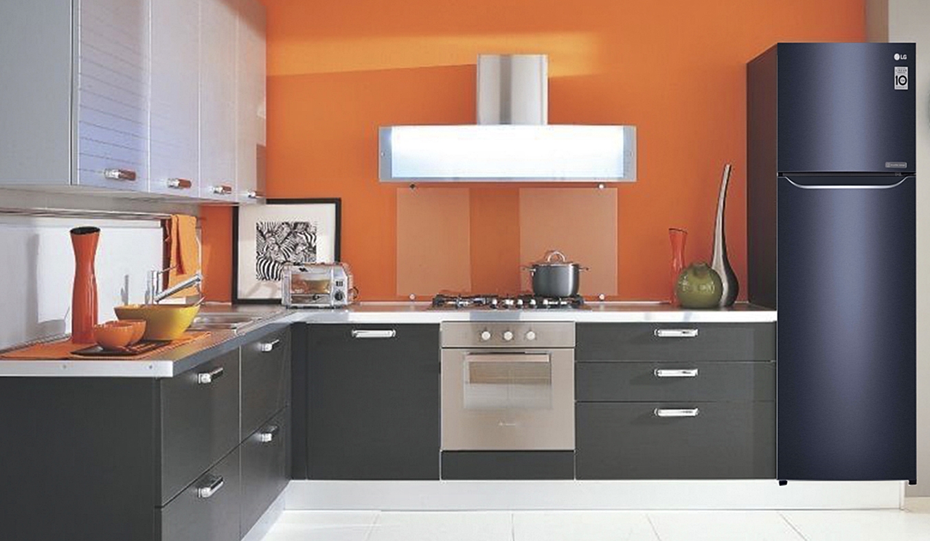 Tủ lạnh LG 208 lít GN-L208PN có thiết kế đơn giản, sang trọng