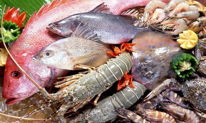 Tủ lạnh LG 255 lít GN-L255PN bền bỉ, chất lượng