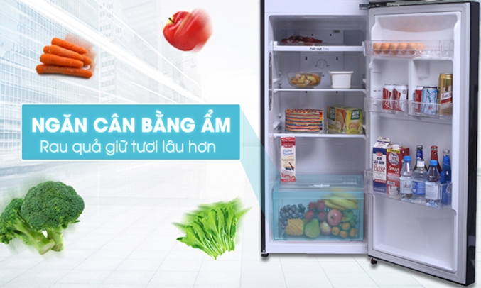 Tủ lạnh LG 255 lít GN-L255PN giúp rau quả luôn mọng nước