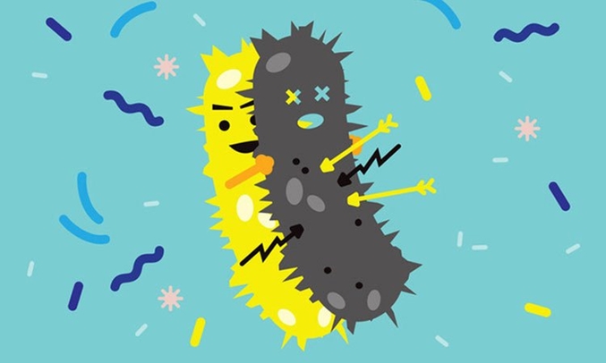 Tủ lạnh LG 315 lít GN-L315PS kháng khuẩn, khử mùi hiệu quả