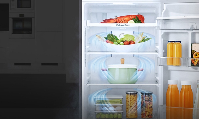 Tủ lạnh LG 315 lít GN-L315PS giúp thực phẩm luôn tươi ngon