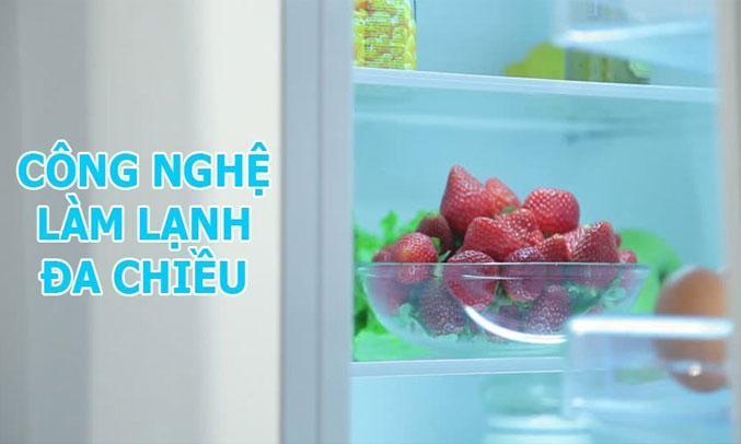 Mua tủ lạnh ở đâu tốt? Tủ lạnh LG GR-D247JS 601 lít