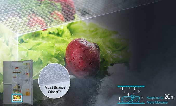 Độ ẩm dư từ thực phẩm bay hơi và sau đó ngưng tụ lại trên lưới mắt cáo 