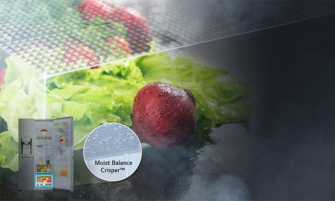 Tủ lạnh LG GR-Q247JS duy trì độ ẩm tối ưu