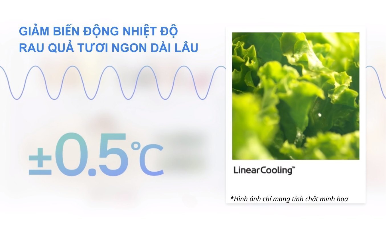 Tủ lạnh LG Inverter 314 lít LTD31BLM