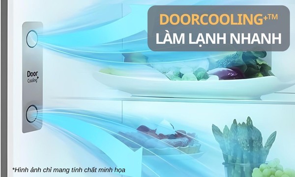 Tủ lạnh LG Inverter 314 lít LTD31BLM