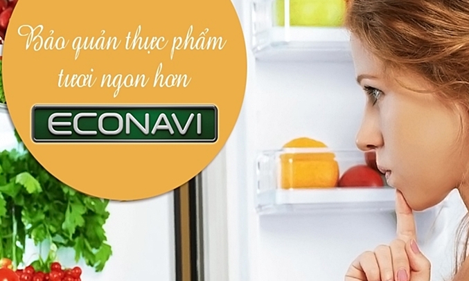 Tủ lạnh Panasonic 255 lít NR-BV288GKVN cảm biến thông minh Econavi