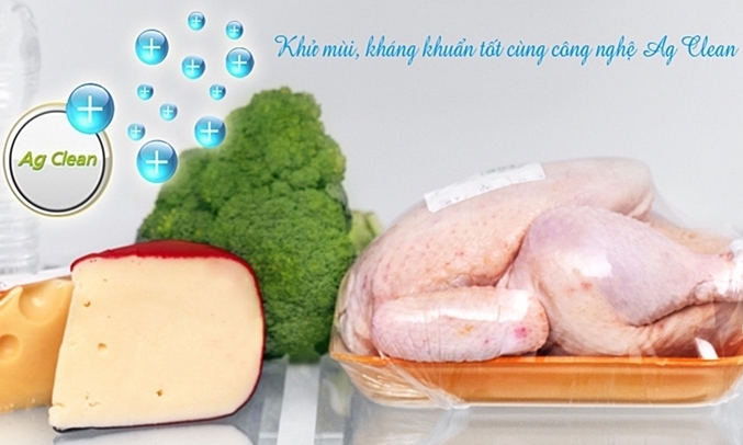 Tủ lạnh Panasonic 255 lít NR-BV288GKVN bảo quản thực phẩm tươi lâu