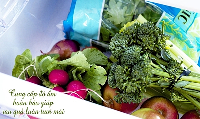 Tủ lạnh Panasonic 255 lít NR-BV288GKVN ngăn rau quả tăng cường độ ẩm