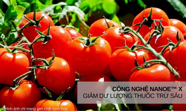 Tủ lạnh Panasonic Inverter 491 lít NR-F503GT-X2