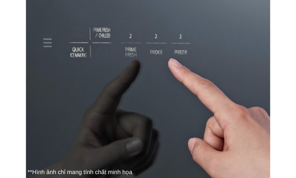 Tủ lạnh Panasonic Inverter 491 lít NR-F503GT-X2