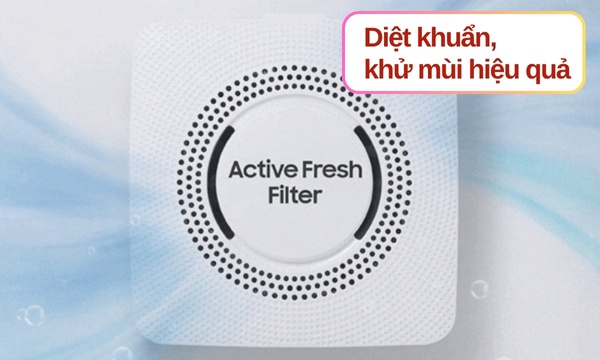 Tủ lạnh Samsung Inverter 345 lít RT35CG5544B1SV - Hệ thống lọc diệt khuẩn Active Fresh Filter