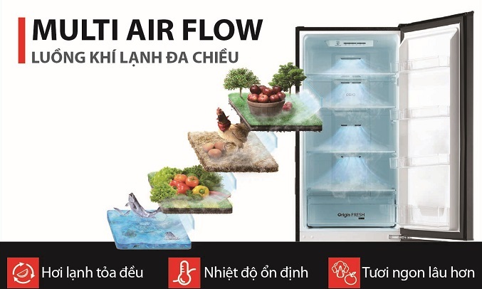 Tủ lạnh Toshiba Inverter 270 lít GR-RB350WE-PMV(30)-BS - Luồng khí lạnh đa chiều 