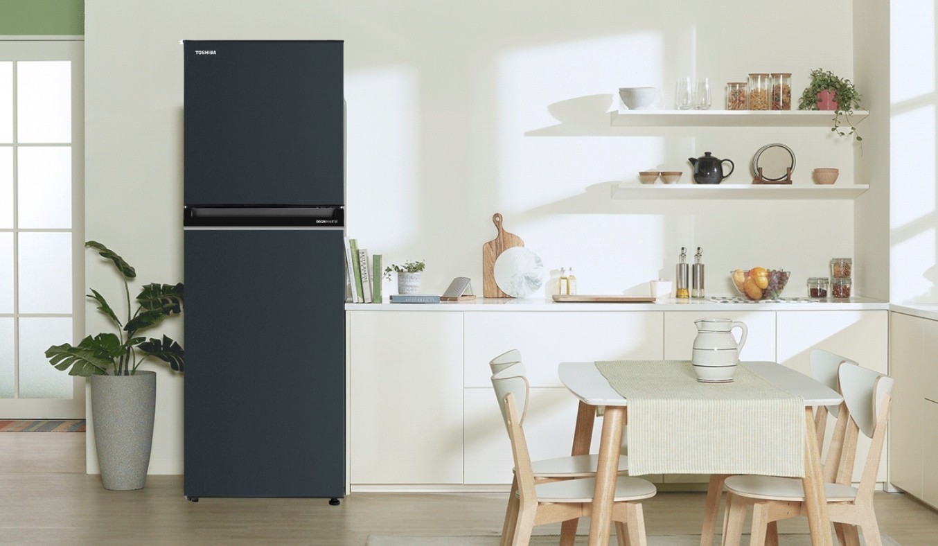 Tủ lạnh Toshiba Inverter 233 lít GR-RT303WE-PMV(52) - Thiết kế sang trọng