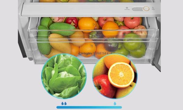 Tủ lạnh Toshiba Inverter 409 lít GR-RT535WEA-PMV(06)-MG - Ngăn rau Origin Fresh
