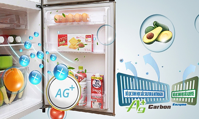 ủ lạnh Toshiba GR-S19VPP hiệu quả trong việc diệt khuẩn, khử mùi