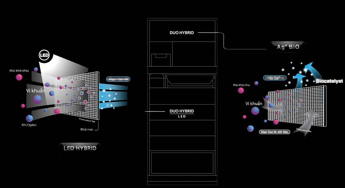 Tủ lạnh Toshiba Inverter 555 lít GR-AG58VA (XK) -