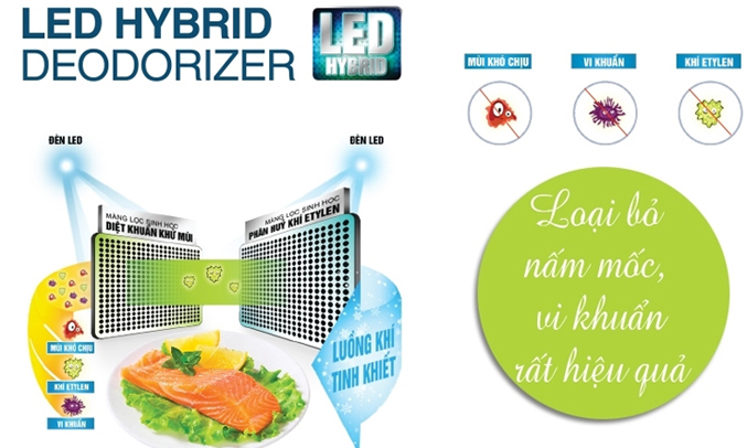 Tủ lạnh Toshiba GR-WG58VDAZ (PGB) diệt khuẩn, khử mùi hiệu quả